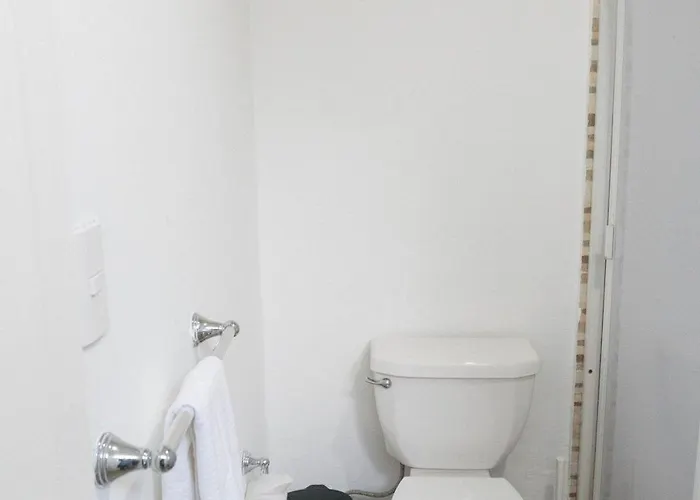 Apartment Lovely In Condesa 4bed/2bath *