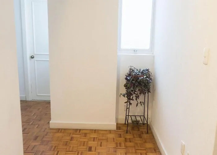 Apartment Lovely In Condesa 4bed/2bath Mexico City